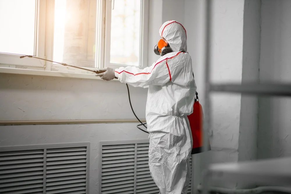 Professional mold remediation services in Verdi, NV